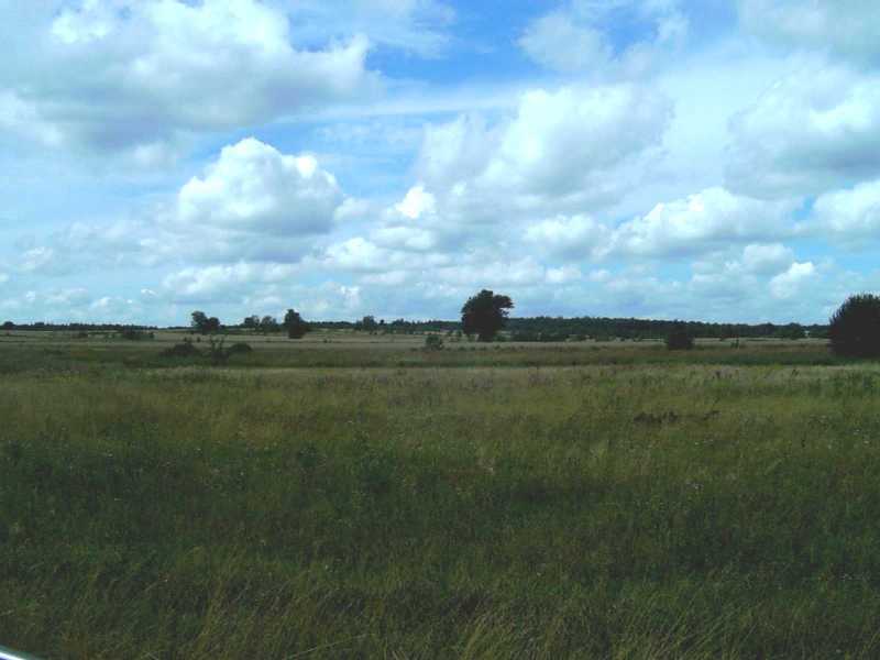 Polish countryside